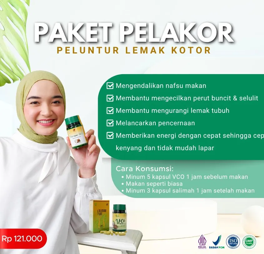 Paket Pelakor